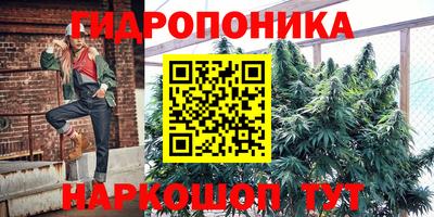 амф Славгород